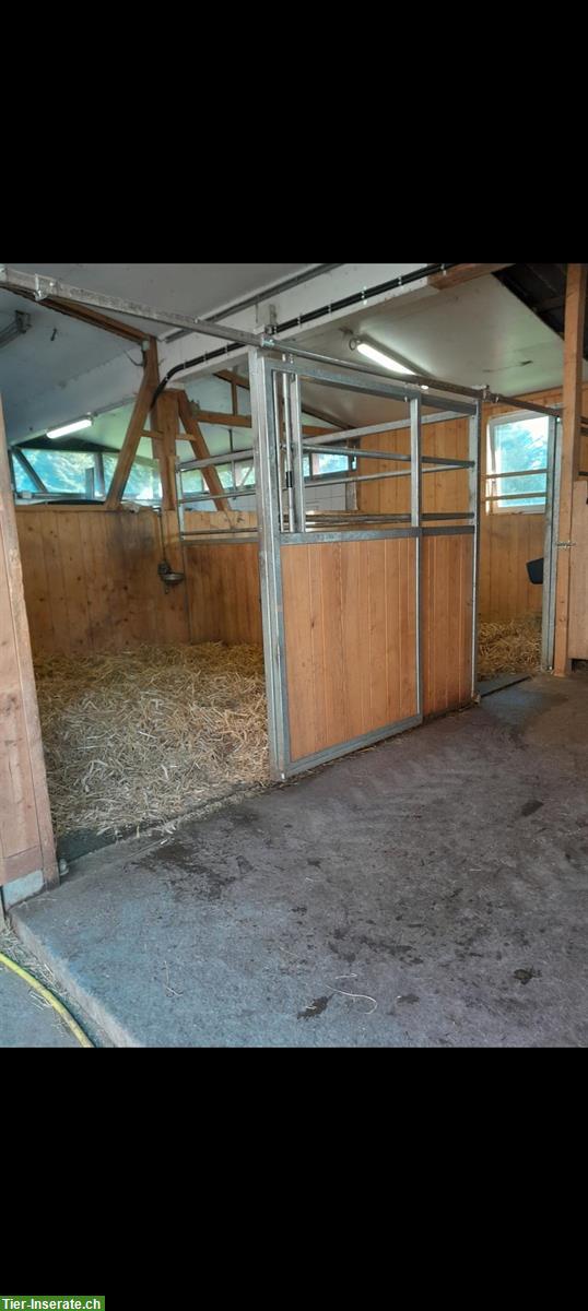 Bild 5: Pferdeboxe zu vermieten, 3534 Signau