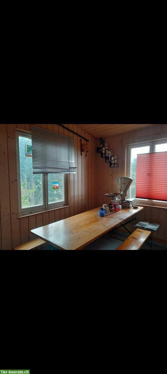 Bild 6: Pferdeboxe zu vermieten, 3534 Signau