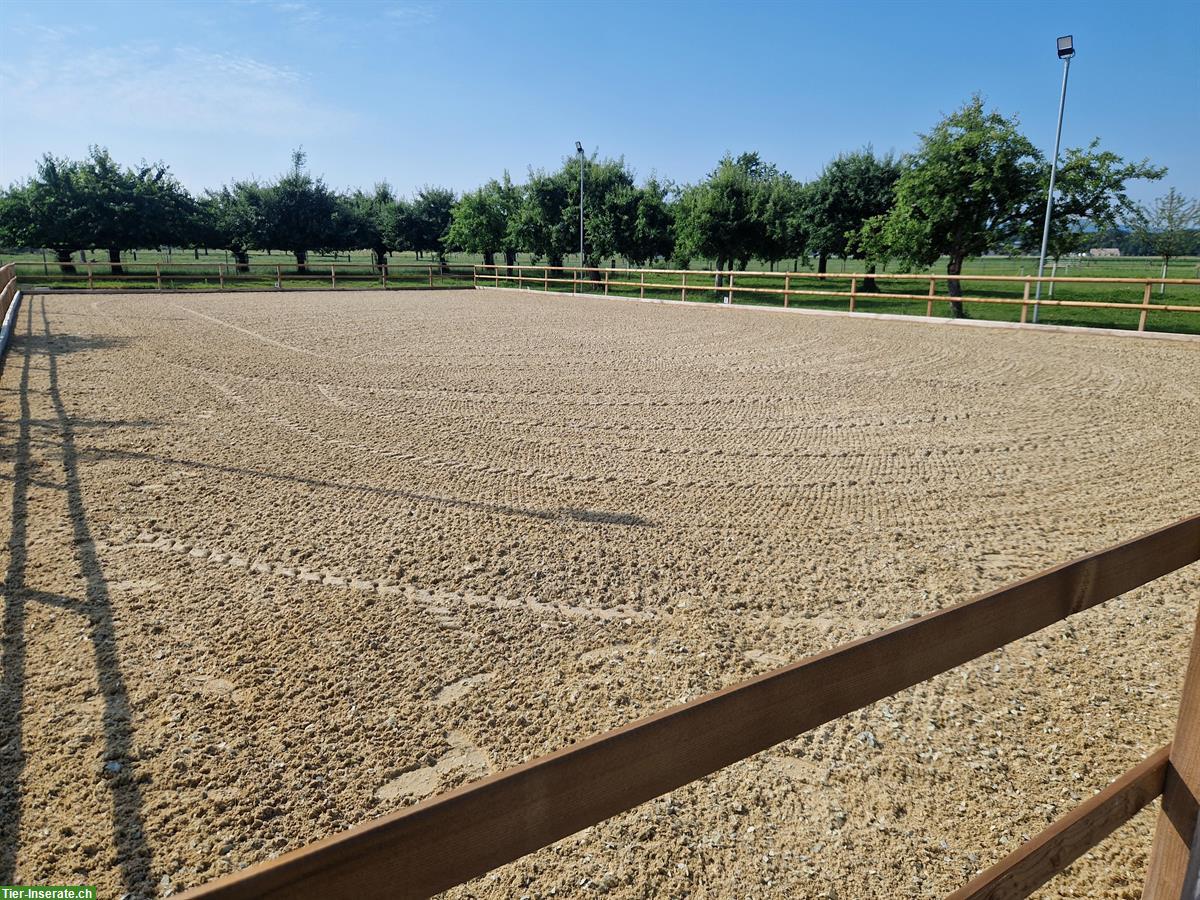 Bild 3: Grosse Auslaufboxe in Rüdtligen (Kirchberg BE) zu vermieten