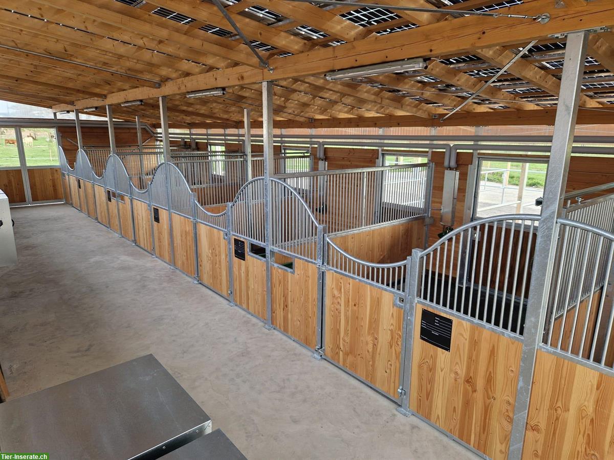 Bild 4: Grosse Auslaufboxe in Rüdtligen (Kirchberg BE) zu vermieten