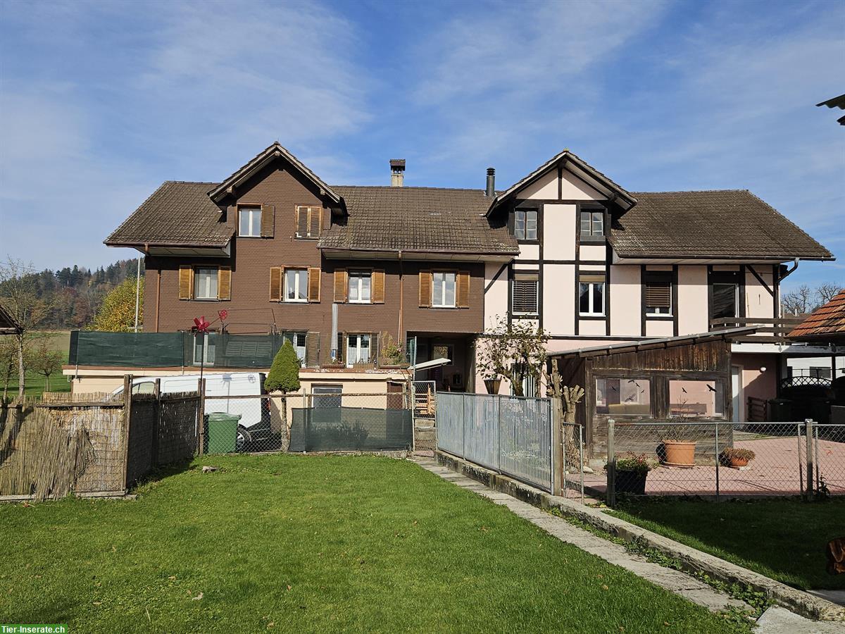 2 Einfamilienhäuser in Luzern, ruhige & naturnahe Lage