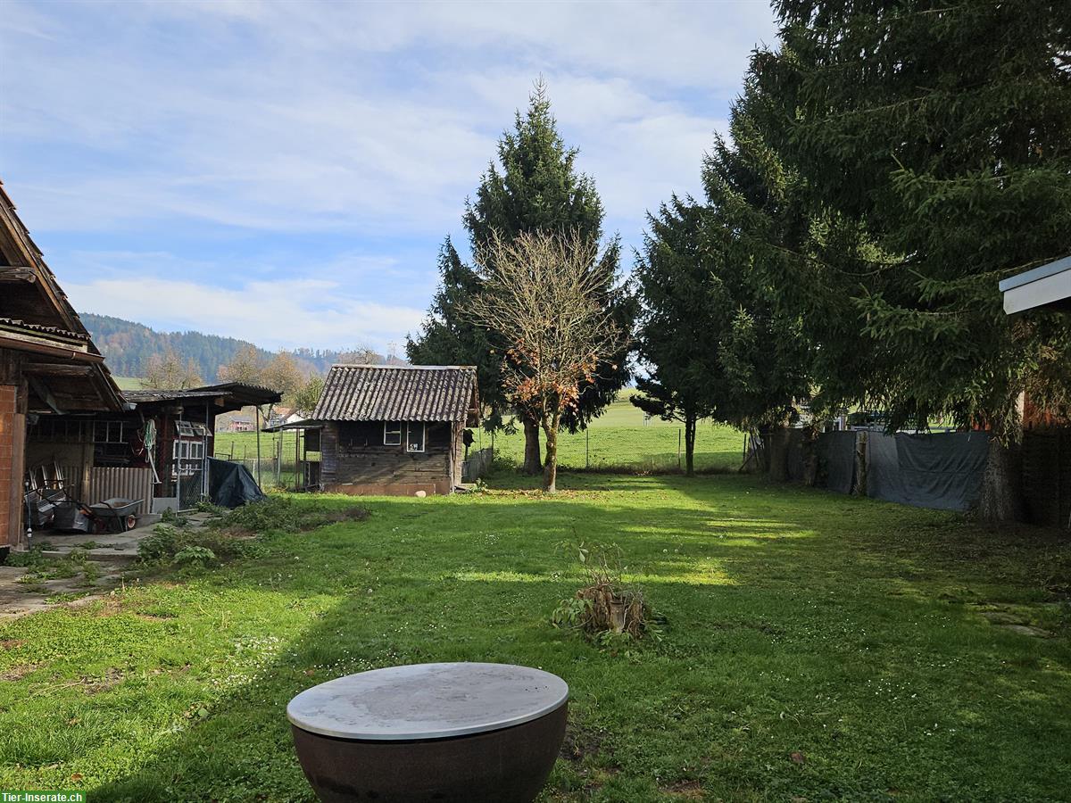 Bild 2: 2 Einfamilienhäuser in Luzern, ruhige & naturnahe Lage