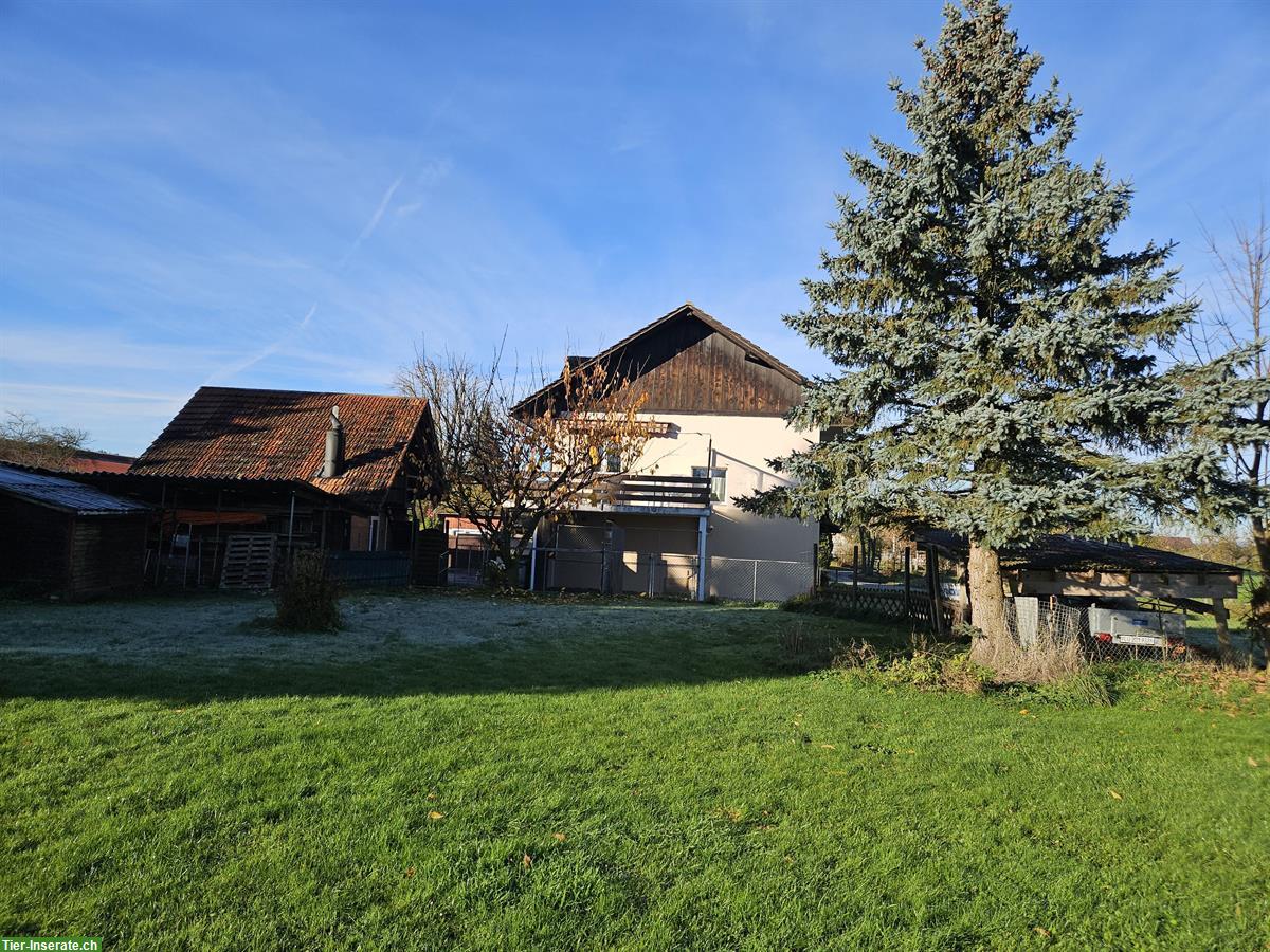 Bild 4: 2 Einfamilienhäuser in Luzern, ruhige & naturnahe Lage