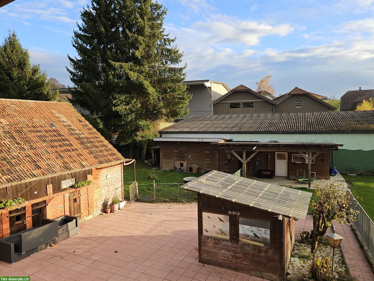 Bild 6: 2 Einfamilienhäuser in Luzern, ruhige & naturnahe Lage