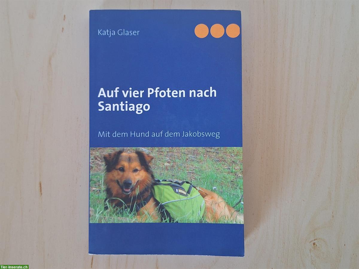 Buch: Auf vier Pfoten nach Santiago von Katja Glaser