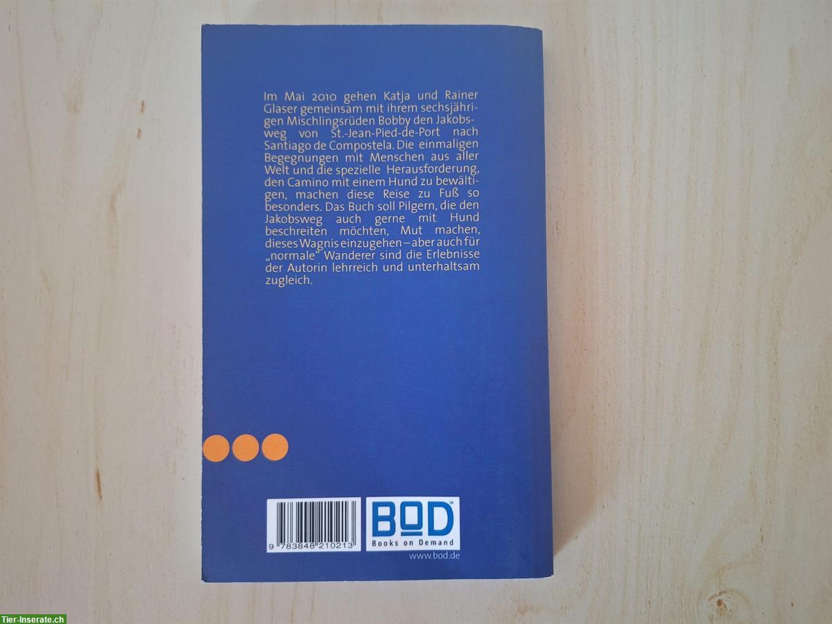 Bild 2: Buch: Auf vier Pfoten nach Santiago von Katja Glaser