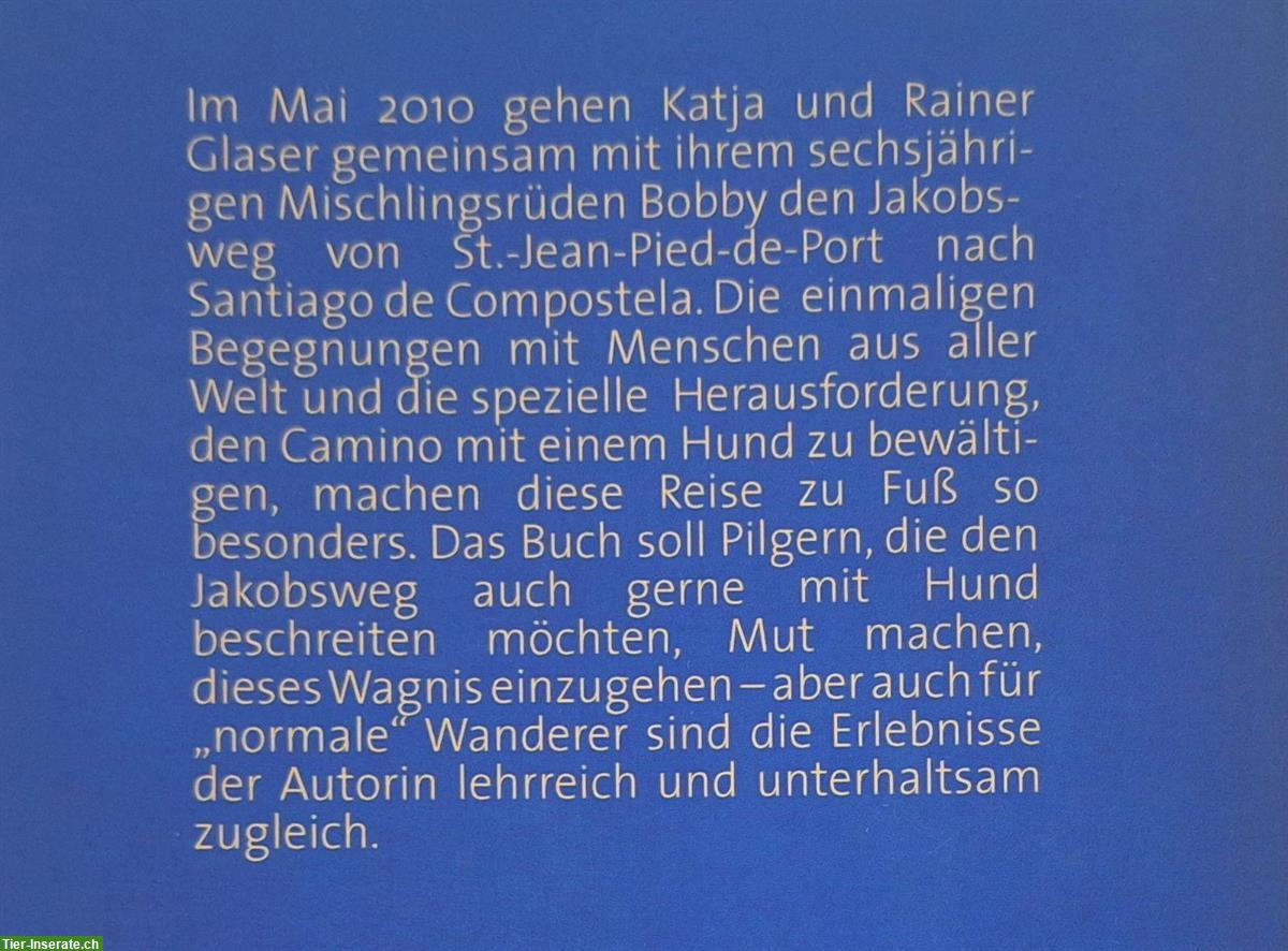 Bild 3: Buch: Auf vier Pfoten nach Santiago von Katja Glaser