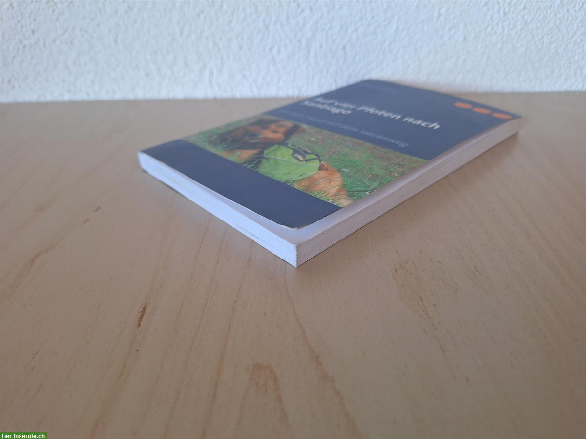 Bild 5: Buch: Auf vier Pfoten nach Santiago von Katja Glaser