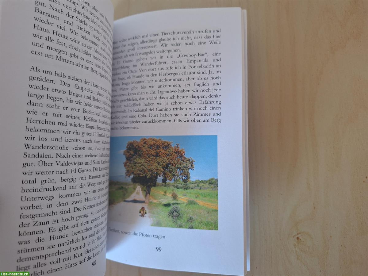 Bild 6: Buch: Auf vier Pfoten nach Santiago von Katja Glaser