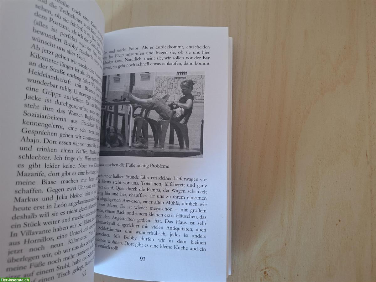 Bild 7: Buch: Auf vier Pfoten nach Santiago von Katja Glaser