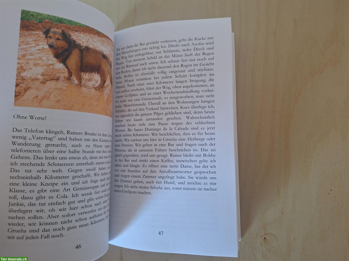 Bild 8: Buch: Auf vier Pfoten nach Santiago von Katja Glaser