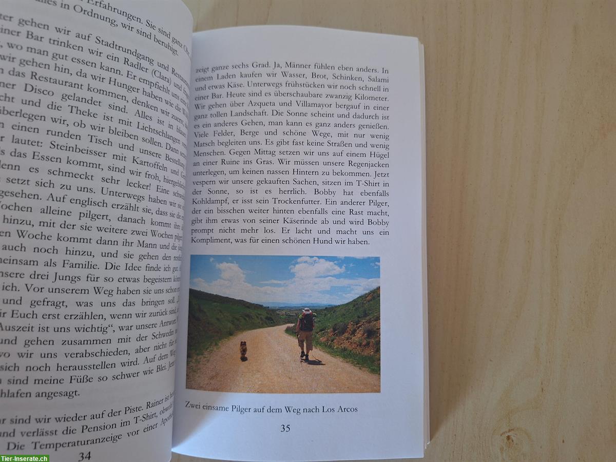 Bild 9: Buch: Auf vier Pfoten nach Santiago von Katja Glaser