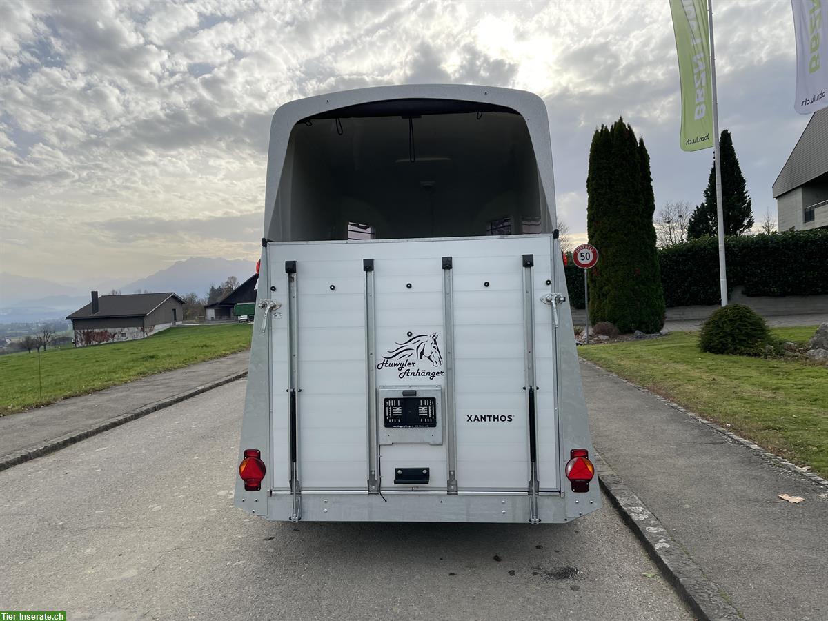 Bild 5: Occasion Humbaur Xanthos Kutsche 3000, 3-jährig