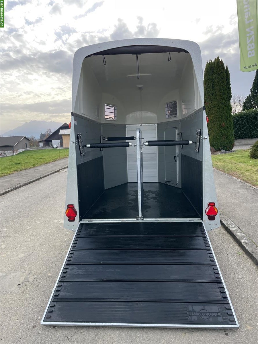 Bild 7: Occasion Humbaur Xanthos Kutsche 3000, 3-jährig