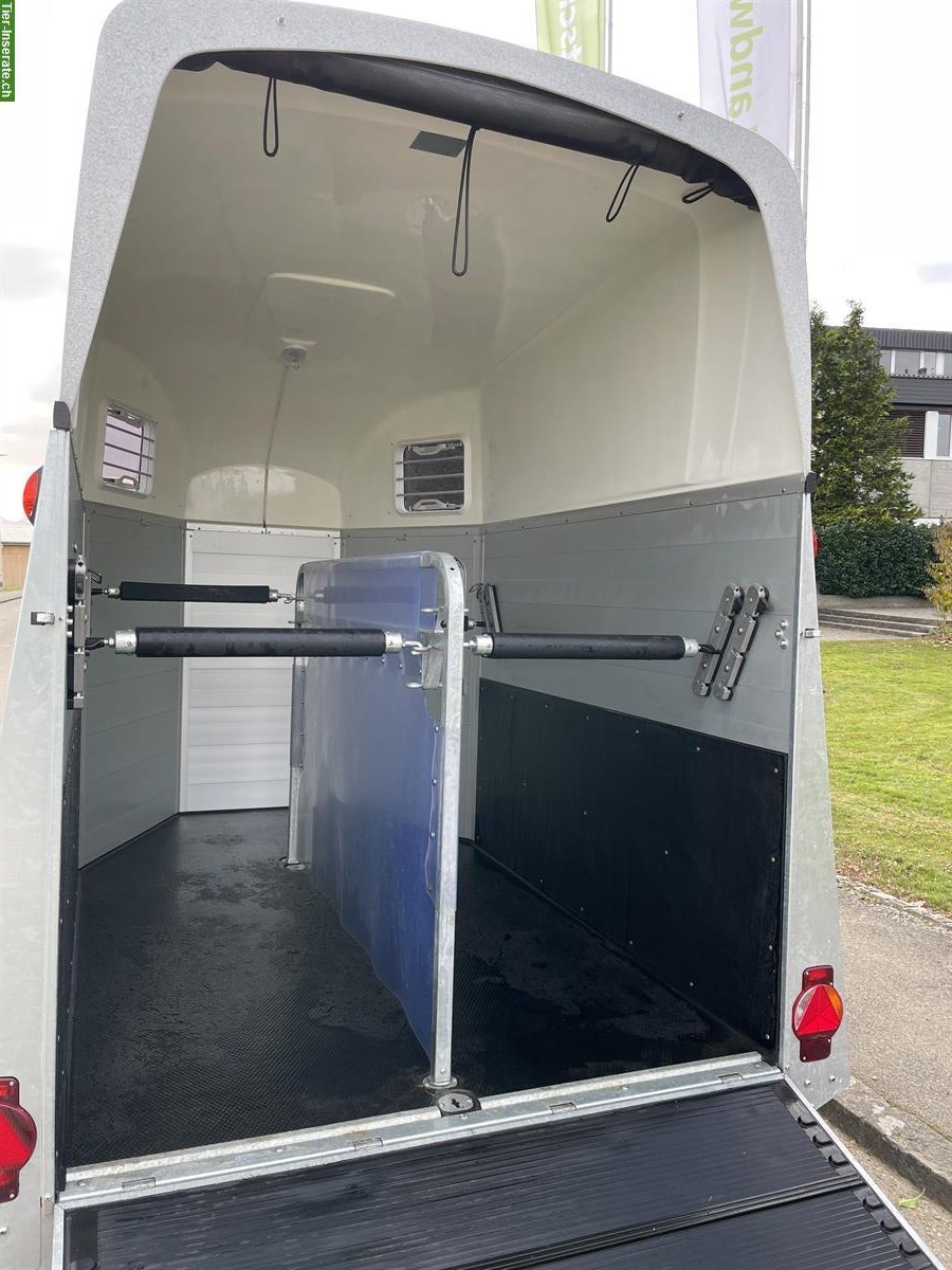 Bild 8: Occasion Humbaur Xanthos Kutsche 3000, 3-jährig