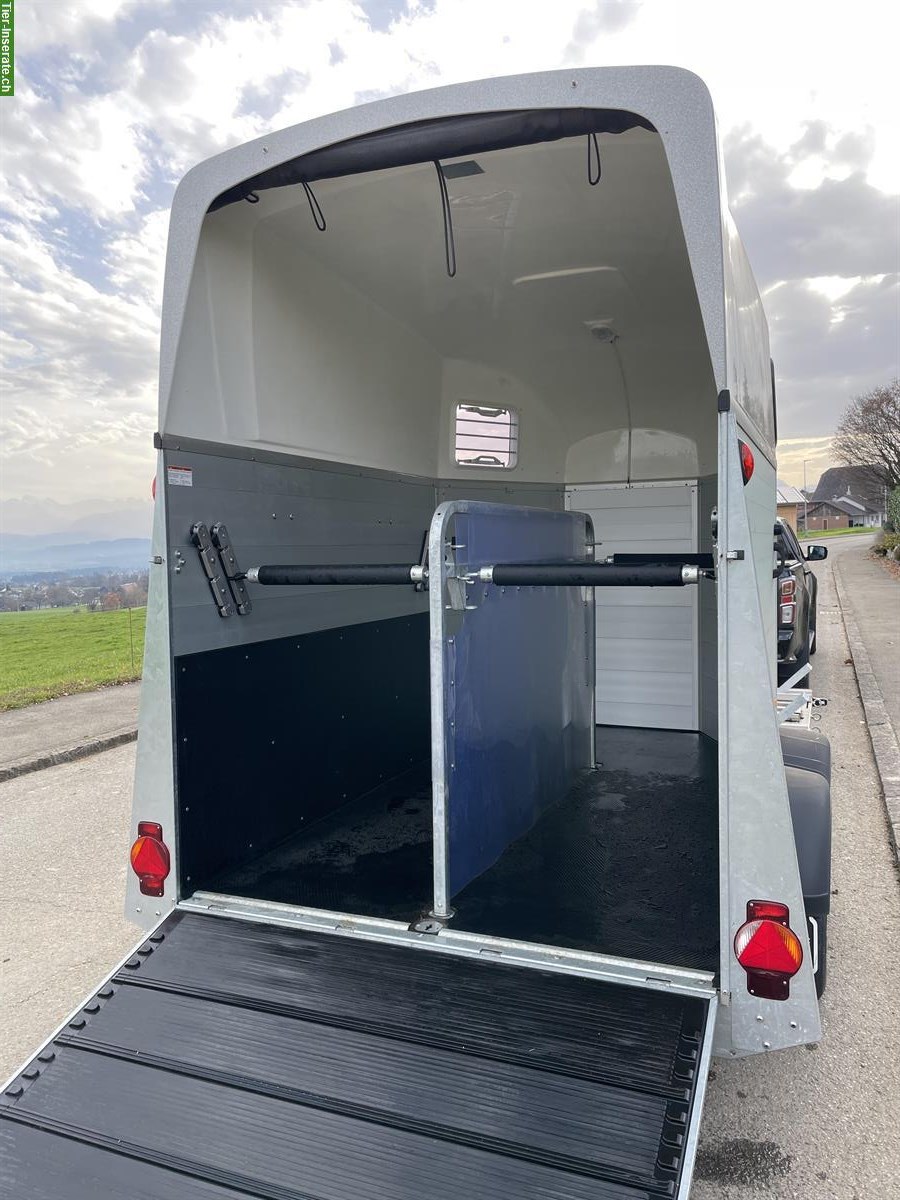 Bild 9: Occasion Humbaur Xanthos Kutsche 3000, 3-jährig