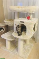 Kratzbaum für grosse Katze zu verkaufen