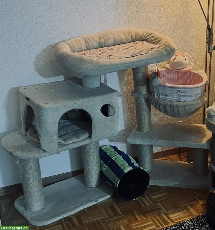 Bild 3: Kratzbaum für grosse Katze zu verkaufen