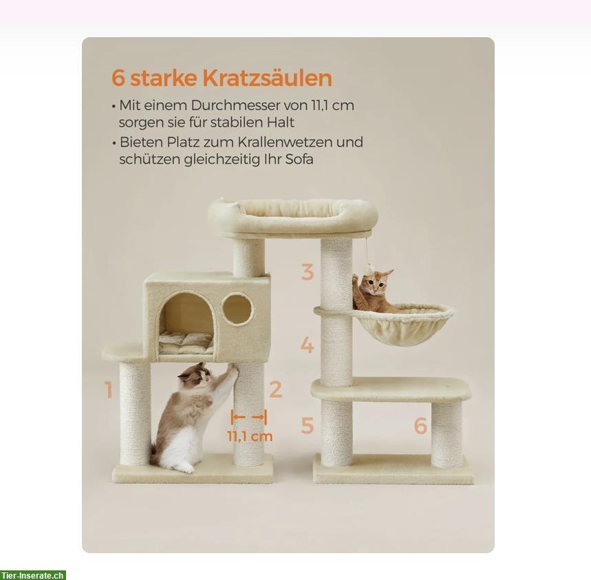 Bild 5: Kratzbaum für grosse Katze zu verkaufen