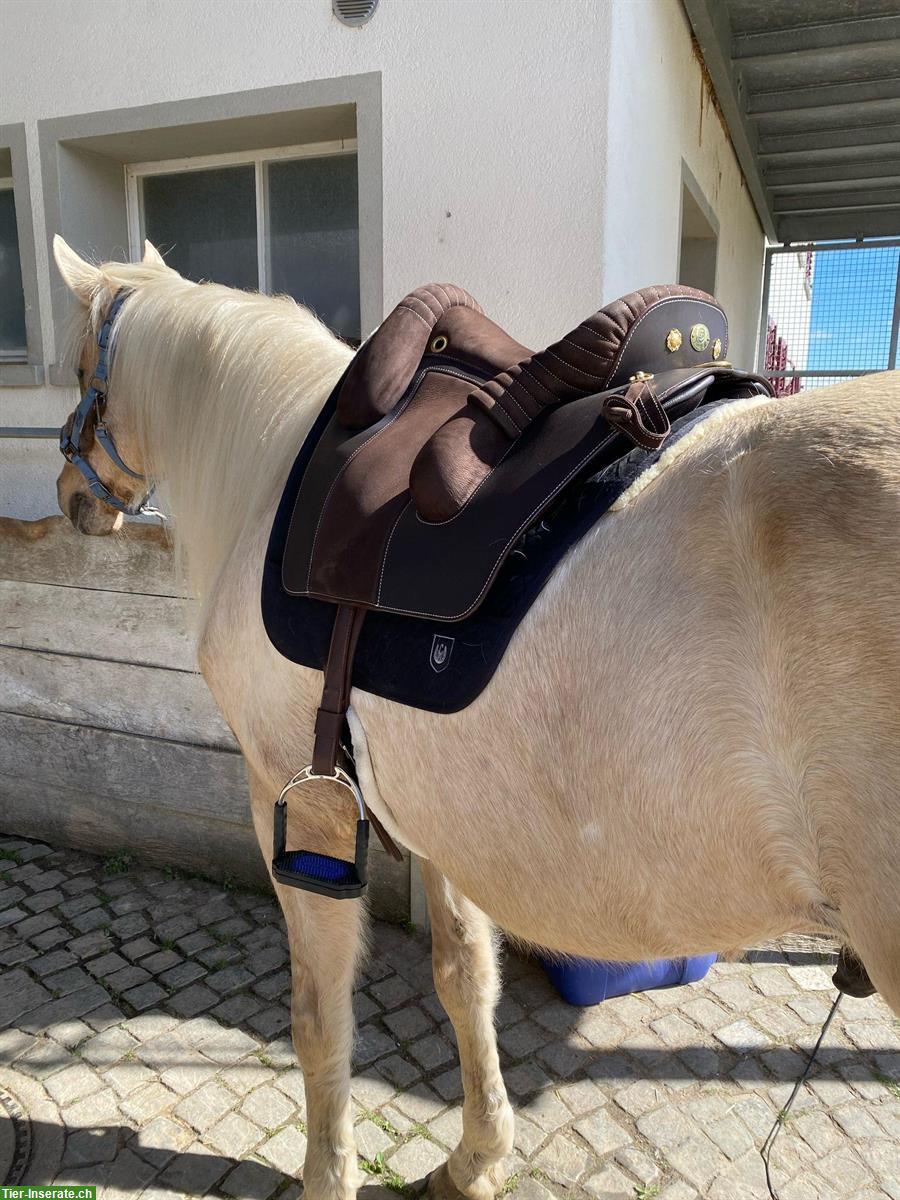 Bild 2: Deuber Jerez Barocksattel Gr. S2, neuwertig