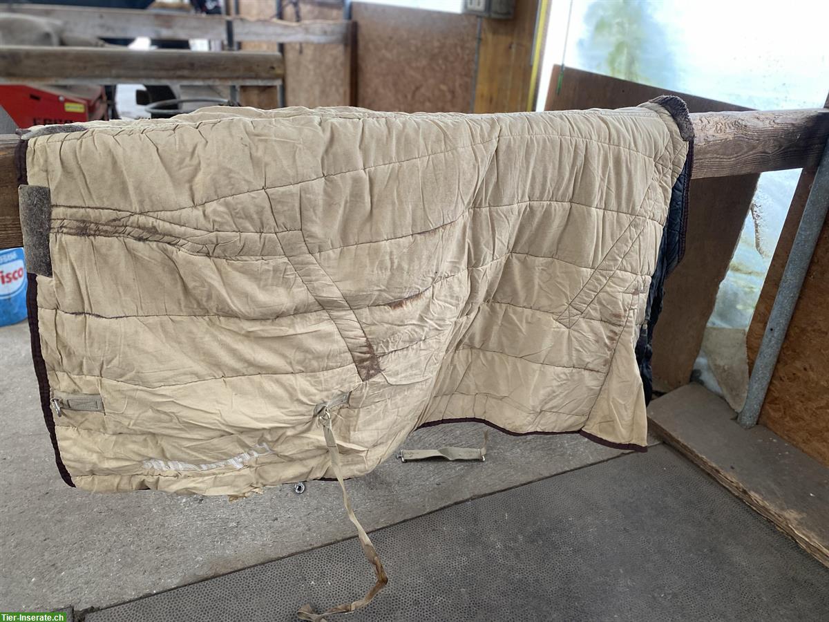 Bild 2: Diverse Pferdezubehör zu verkaufen / verschenken