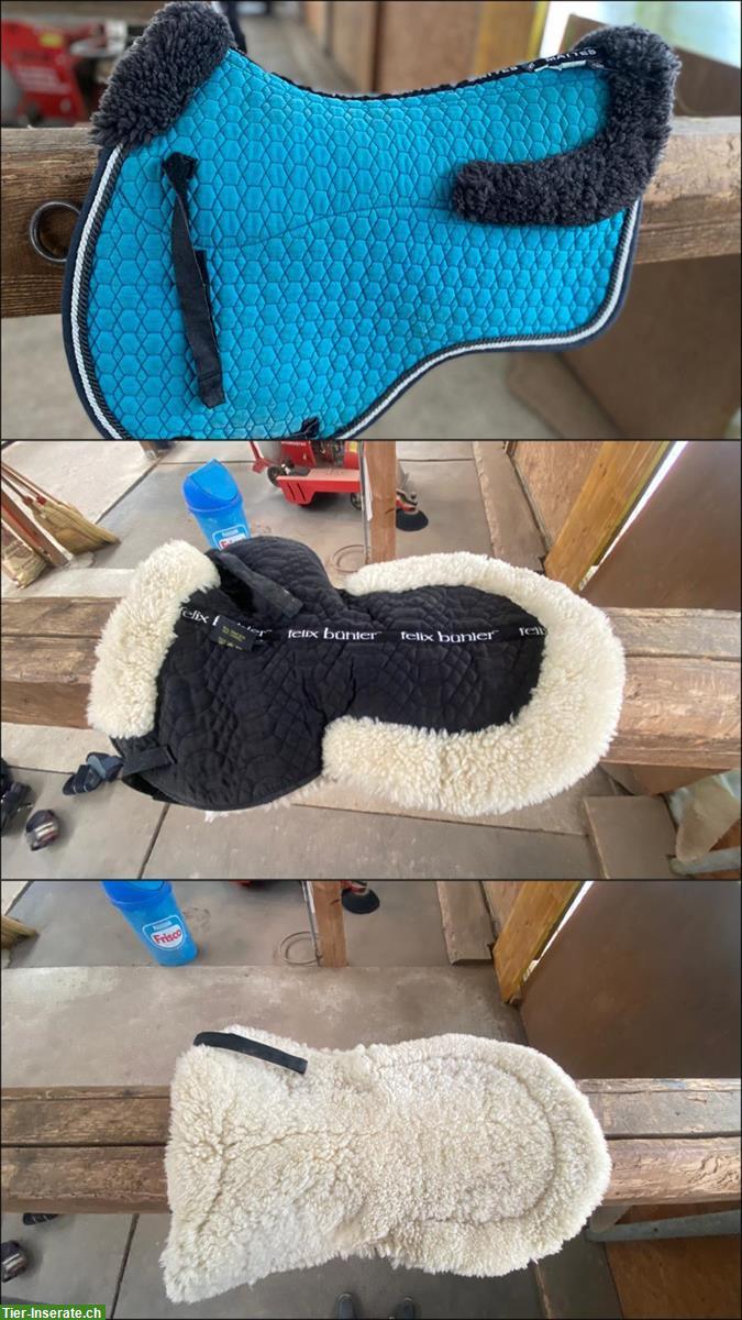 Bild 8: Diverse Pferdezubehör zu verkaufen / verschenken