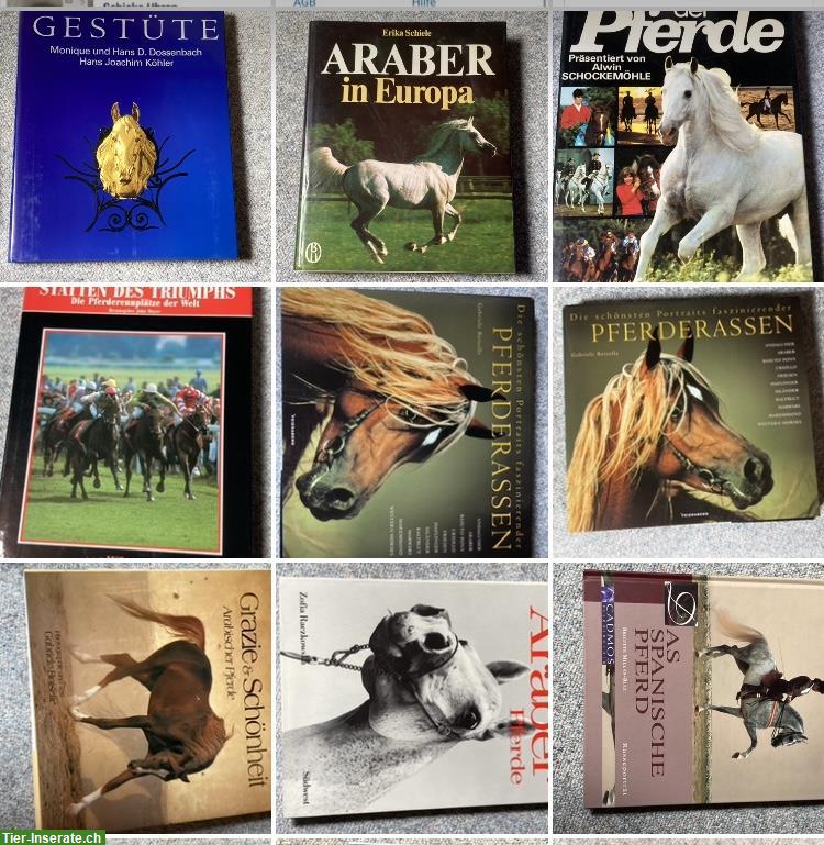 Bild 2: Bücher Raritäten für Pferdefans zu verkaufen
