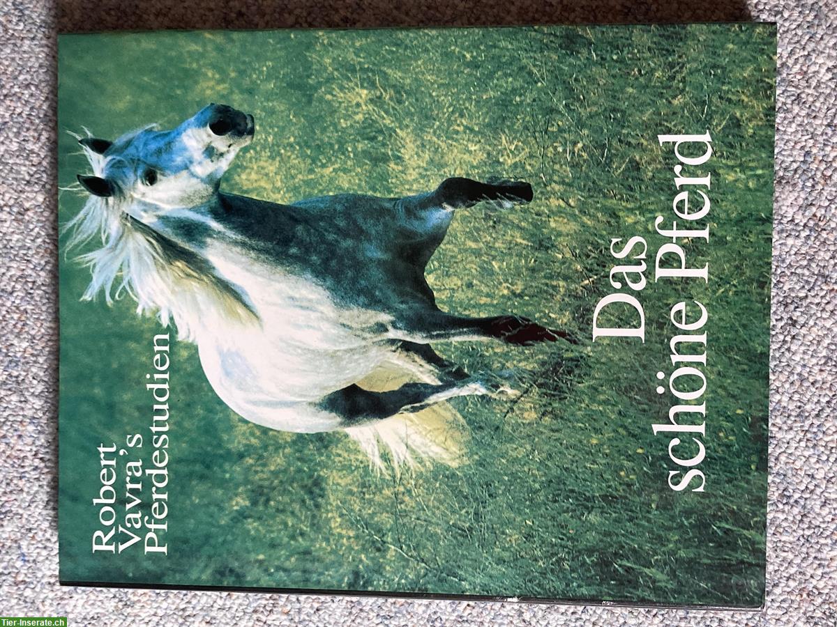 Bild 3: Bücher Raritäten für Pferdefans zu verkaufen