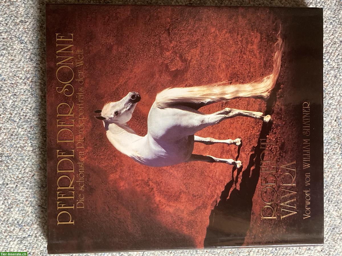 Bild 5: Bücher Raritäten für Pferdefans zu verkaufen