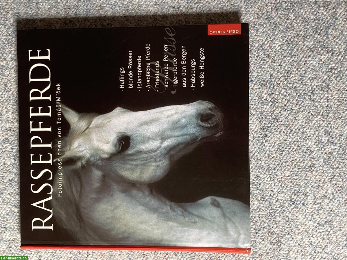 Bild 6: Bücher Raritäten für Pferdefans zu verkaufen