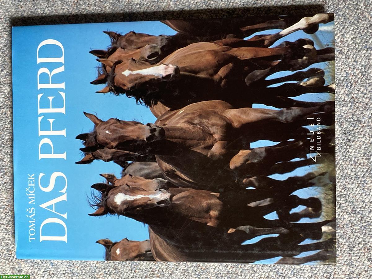 Bild 8: Bücher Raritäten für Pferdefans zu verkaufen