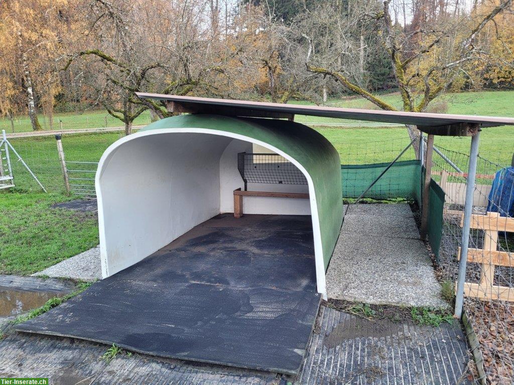 Bild 2: Kälberiglu zu verkaufen mit oder ohne Dachaufbau
