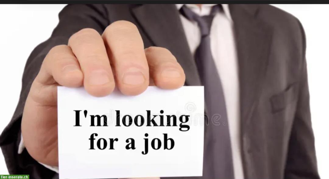 I am looking for work on an animal farm