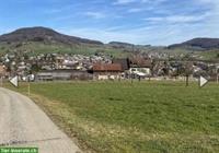 Pferdeboxen frei mit oder ohne Auslauf, Gelterkinden BL