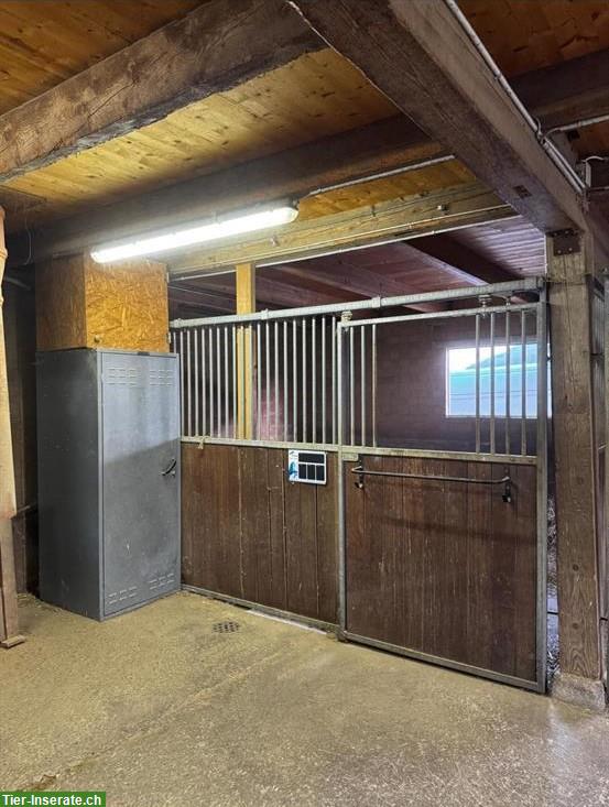 Bild 2: Pferdeboxen frei mit oder ohne Auslauf, Gelterkinden BL