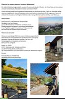 Bieten Offenstallplatz in Wädenswil für Selbstversorger