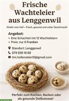 Frische Wachteleier aus Lenggenwil SG