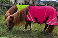 Walker Pferdedecken, 80cm (Minishettys), reflektierend mit Fleece