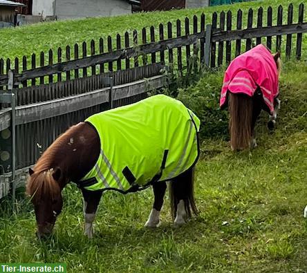 Bild 2: Walker Pferdedecken, 80cm (Minishettys), reflektierend mit Fleece