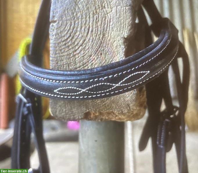 Pferdezaum Grösse Warmblut zu verkaufen