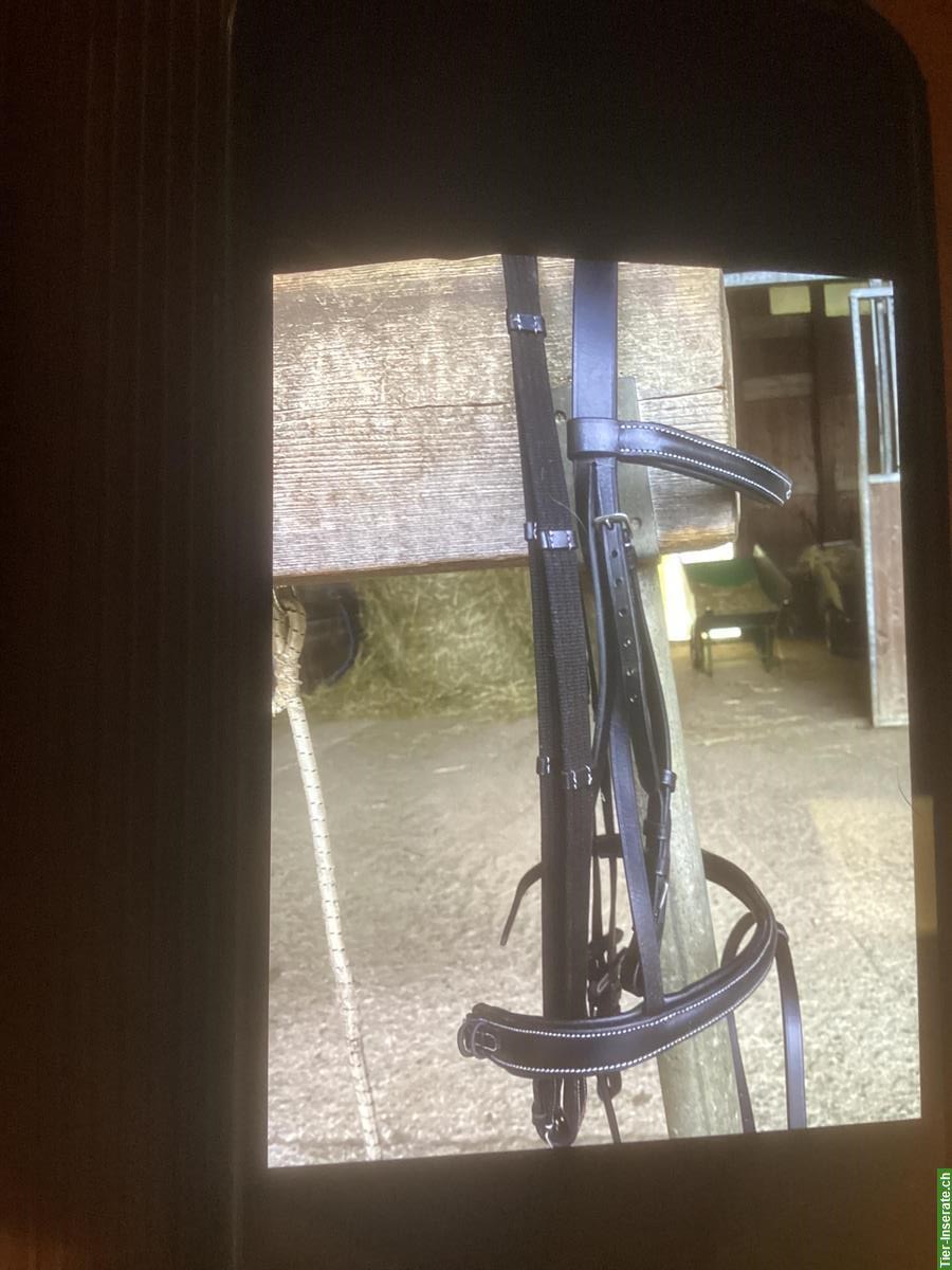 Bild 2: Pferdezaum Grösse Warmblut zu verkaufen