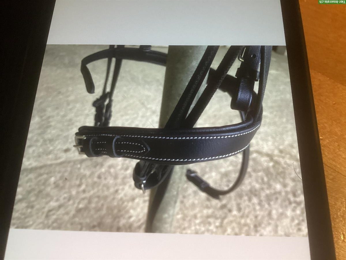 Bild 3: Pferdezaum Grösse Warmblut zu verkaufen