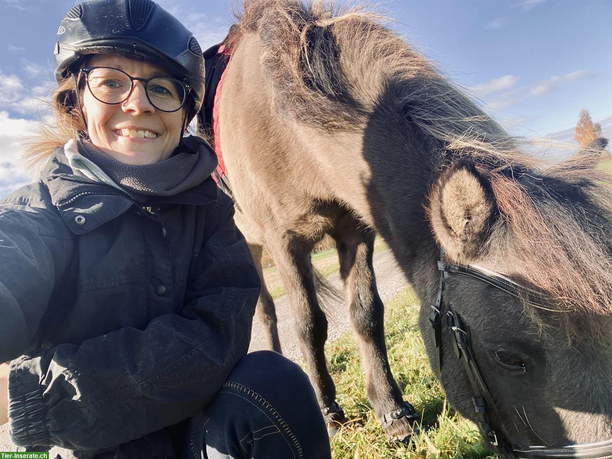 Pony gesucht für Reitbeteiligung und tiergestützte Therapie