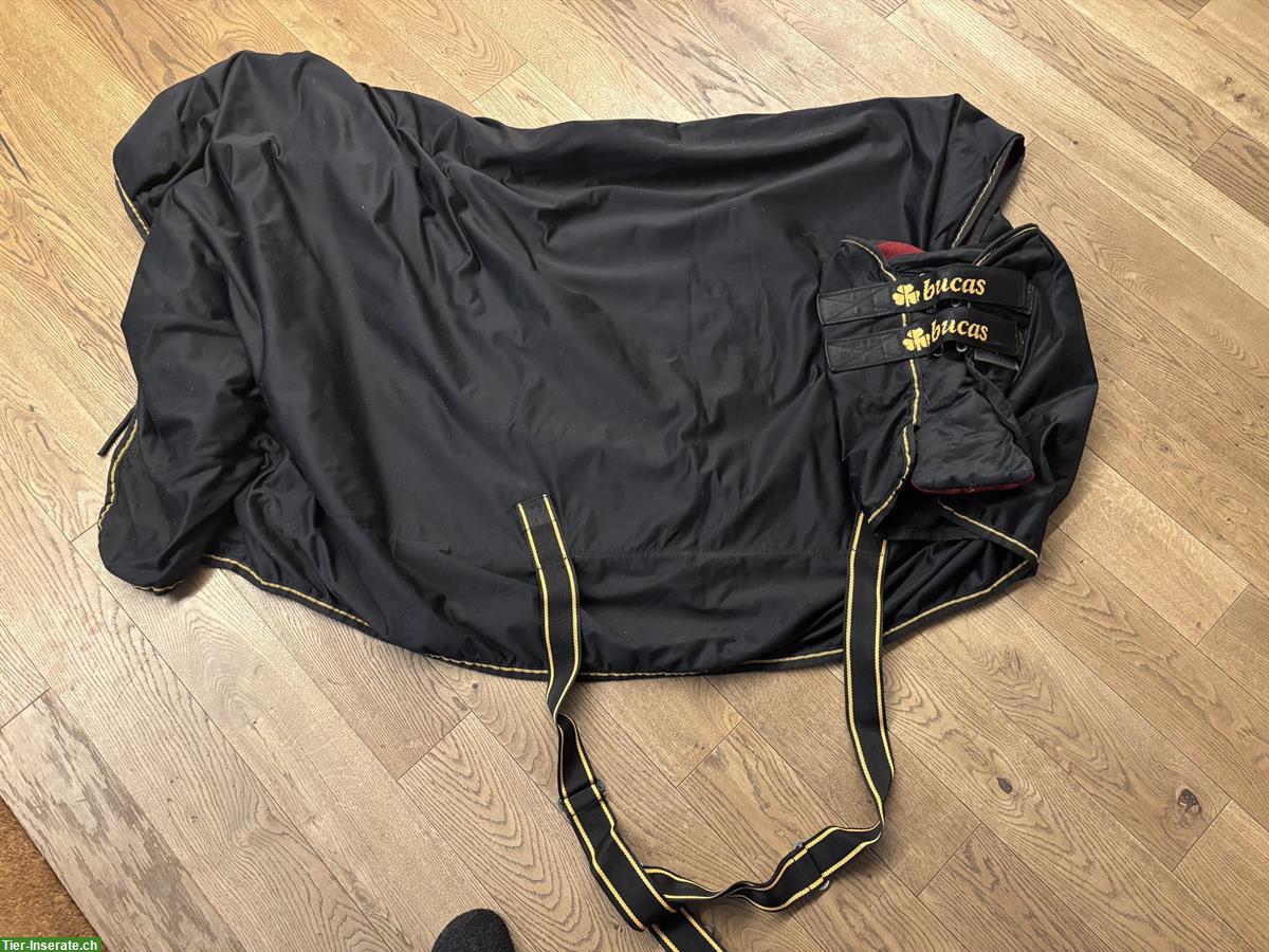 Pferdedecke Bucas Shamrock Power, 145cm, Abschwitz- & Stalldecke