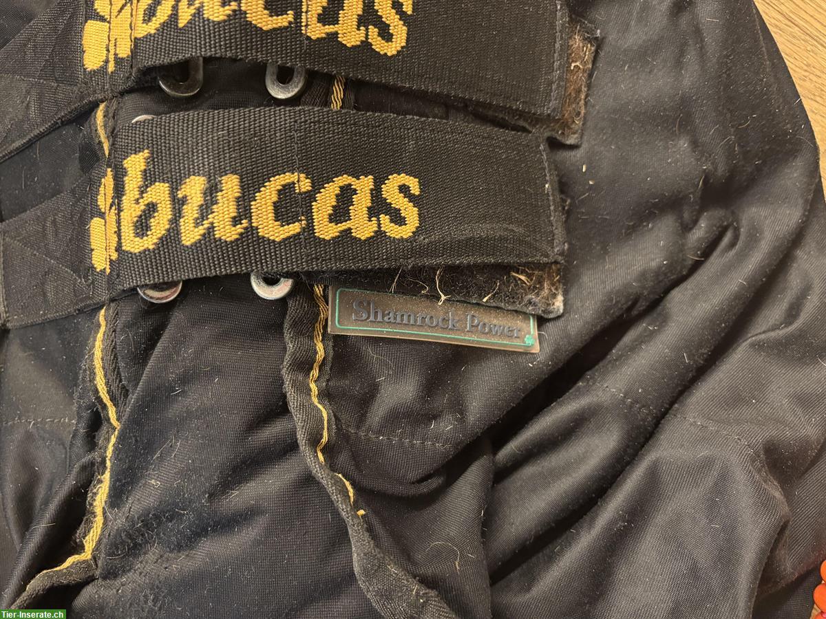 Bild 3: Pferdedecke Bucas Shamrock Power, 145cm, Abschwitz- & Stalldecke