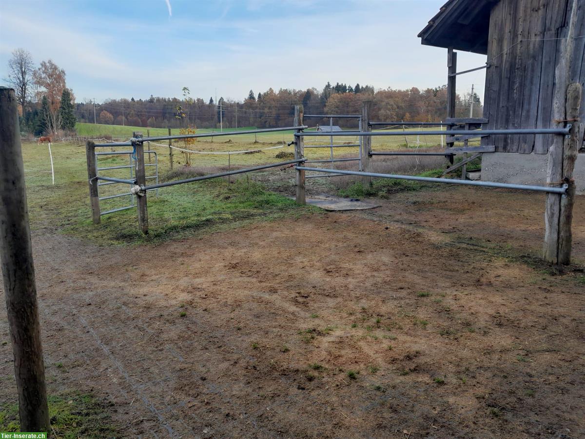 Stallauflösung: Stallzubehör & Weidezaunmaterial, teils gratis