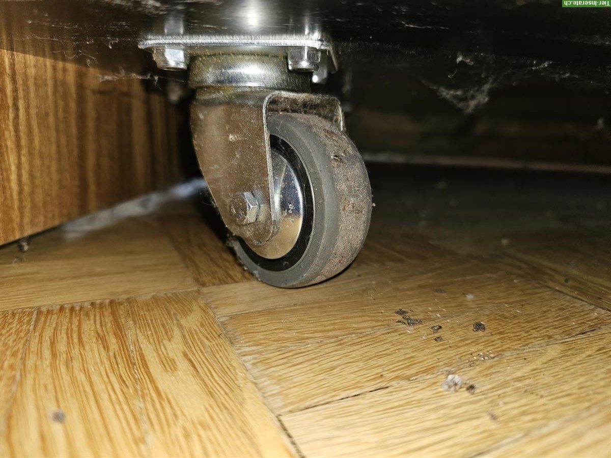 Bild 4: Komplettes Terrarium mit 3 Dentrobates Azureus Fröschen