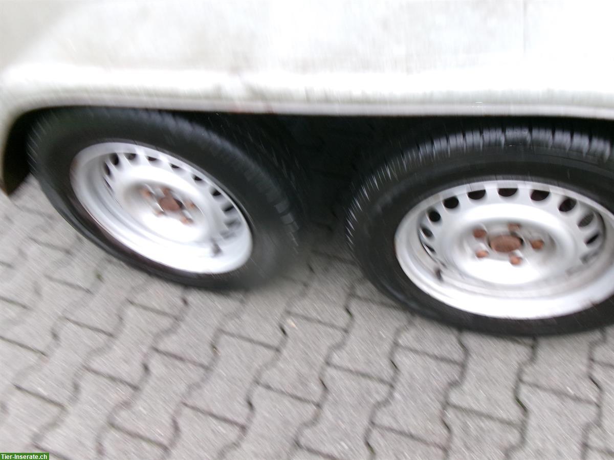 Bild 6: 2er Pferdeanhänger Hofer Maxx, Vollpolyester frisch ab MFK