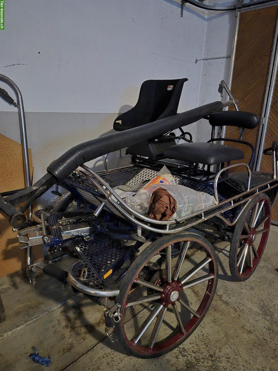 4-spänner Marathonwagen zu verkaufen