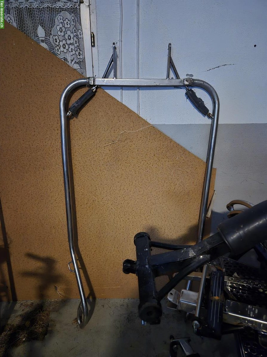 Bild 2: 4-spänner Marathonwagen zu verkaufen